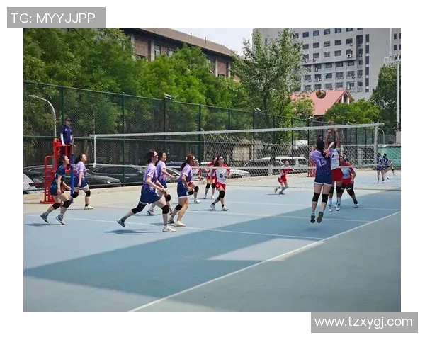 赛后分析：北京排球队与南京排球队个人能力对比与表现评估