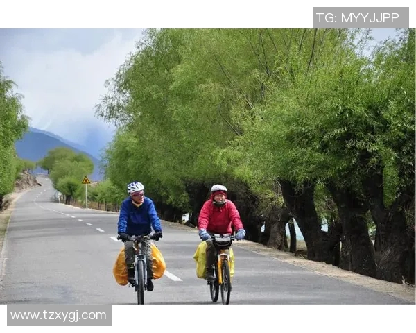 足球明星的青春女友：那些年我们一起追逐的梦想与爱情