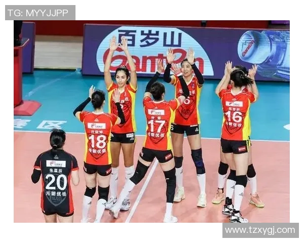 北京排球队总决赛表现分析：个人能力与团队协作的完美结合